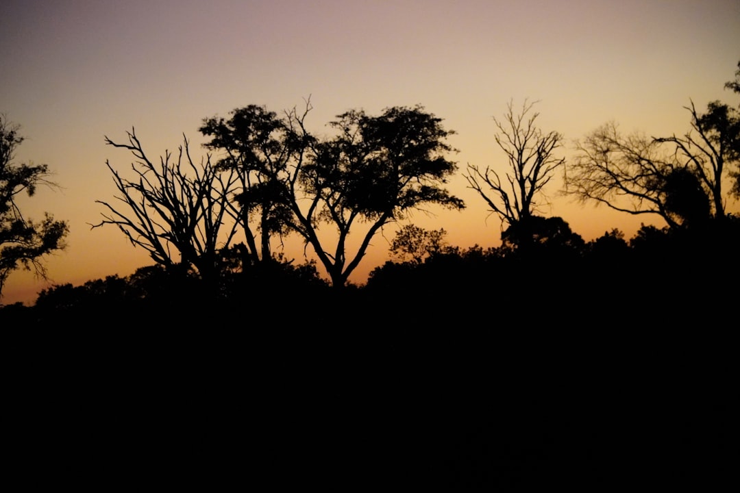 Aerial view of the Sub-Saharan African trade landscape at sunset